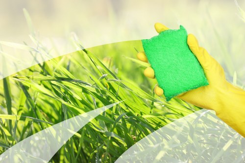Accessibility statement introduction for Carpetcleaning W14 website