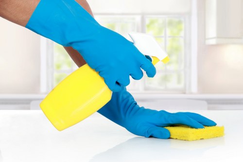 Carpet cleaning in W14 begins with removing deep dirt and dust