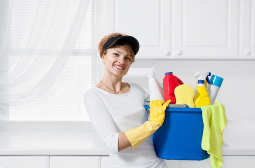 Deep steam carpet cleaning service in W14
