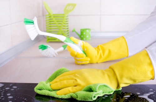 Bathroom deep cleaning in a W14 property with spotless fixtures