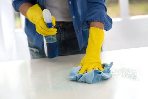 Healthy and hygienic domestic cleaning in W14