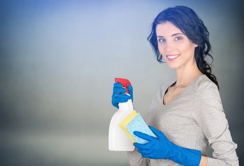 Carpet cleaning process and cleaning tools